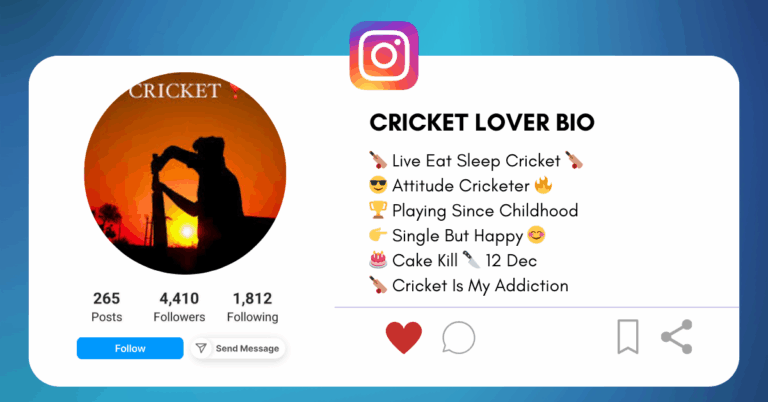 Cricket Lover Bio For Instagram