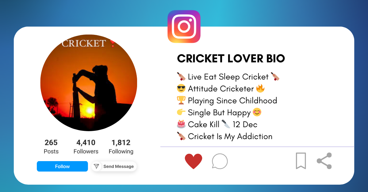 Cricket Lover Bio For Instagram