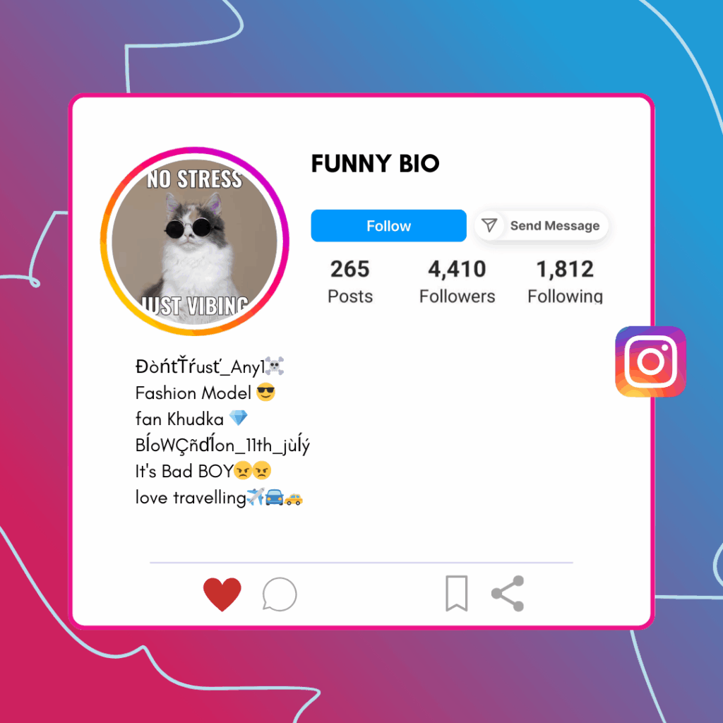 Funny Instagram Bio