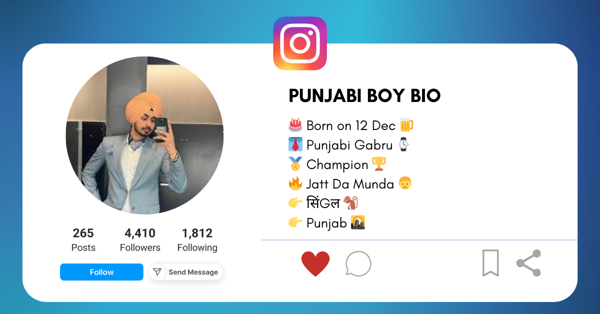 Punjabi Boy bio