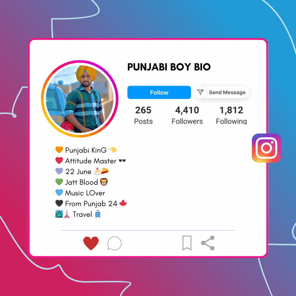 Punjabi Boy bio