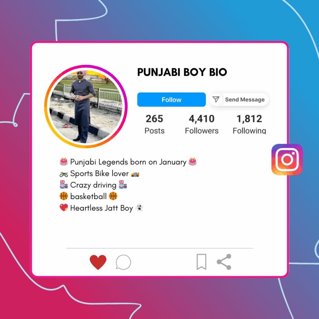 Punjabi Boy bio