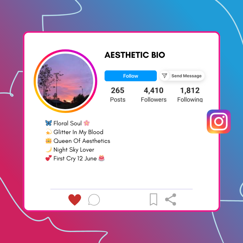 Aesthetic-Instagram-Bio