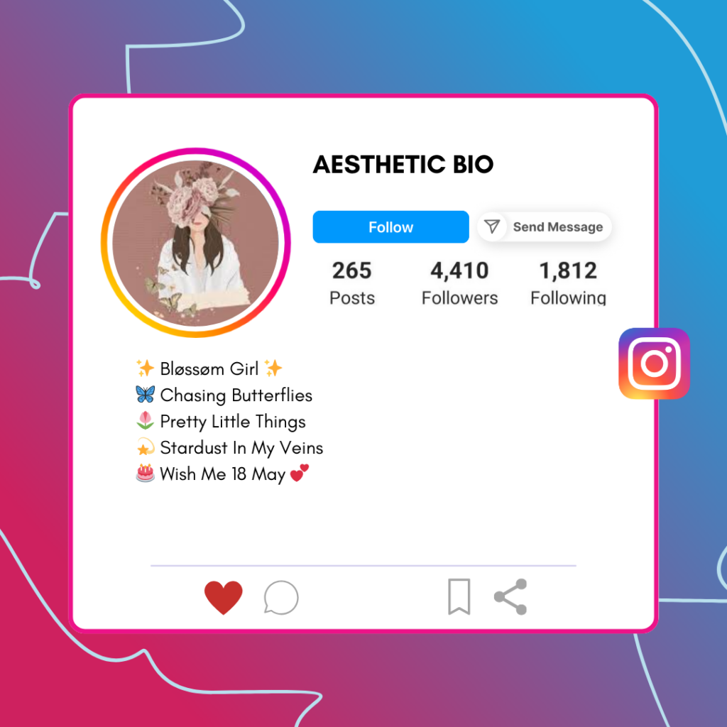 Aesthetic-Instagram-Bio